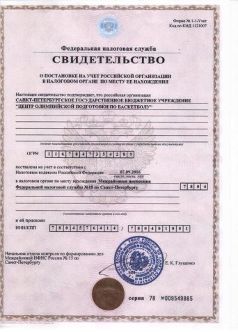 Описание изображения